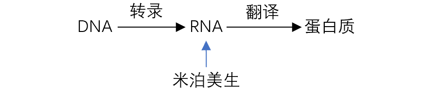 7.png 7.png