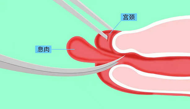微信圖片_20241111123731.jpg 微信圖片_20241111123731.jpg