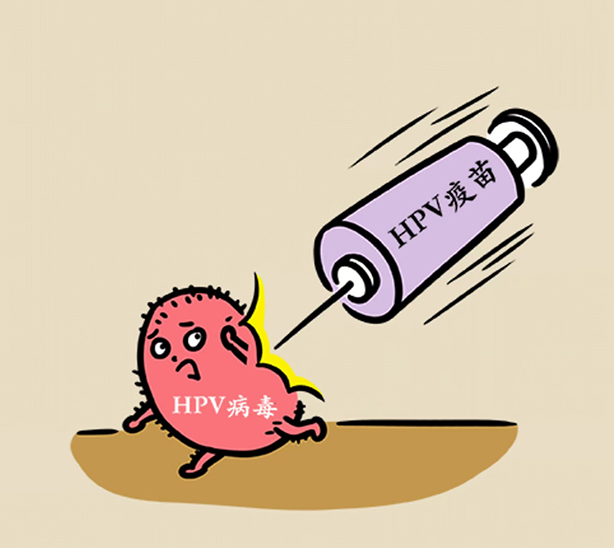 微信圖片_20241111123718.jpg 微信圖片_20241111123718.jpg