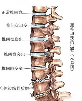 圖片1.png 圖片1.png