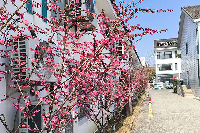 微信圖片_20250227120804.jpg