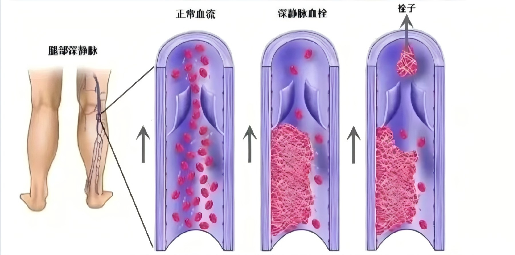 圖片1.jpg 圖片1.jpg