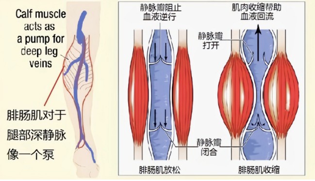 圖片2.jpg 圖片2.jpg
